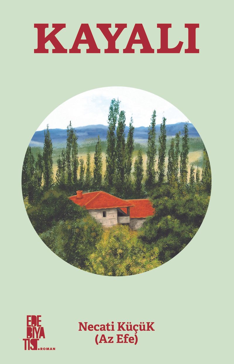Kayalı kitap kapağı