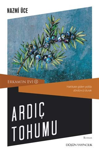 Erkam'ın Evi 4 / Ardıç Tohumu kitap kapağı