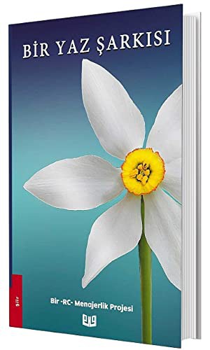 Bir Yaz Şarkısı kitap kapağı