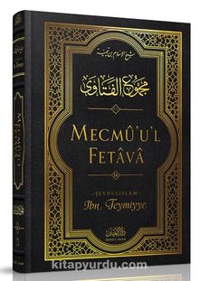 Mecmûu'l-Fetava (16. Cilt) kitap kapağı