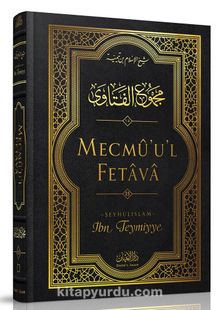Mecmûu'l-Fetava (15. Cilt) kitap kapağı