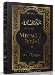 Mecmûu'l-Fetava (13. Cilt) kitap kapağı