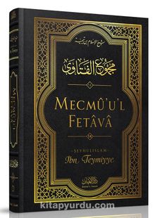 Mecmûu'l-Fetava (14. Cilt) kitap kapağı