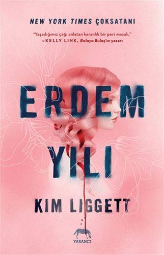 Erdem Yılı (Karton Kapak) kitap kapağı