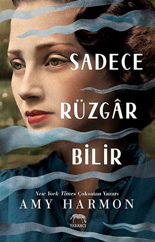 Sadece Rüzgar Bilir (Ciltli) kitap kapağı