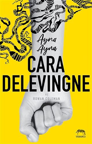 Ayna Ayna kitap kapağı