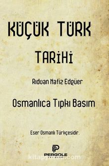 Küçük Türk Tarihi kitap kapağı