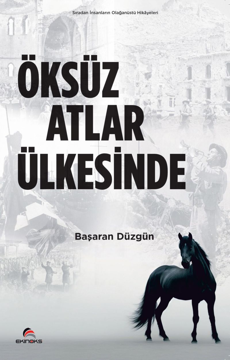 Öksüz Atlar Ülkesinde kitap kapağı