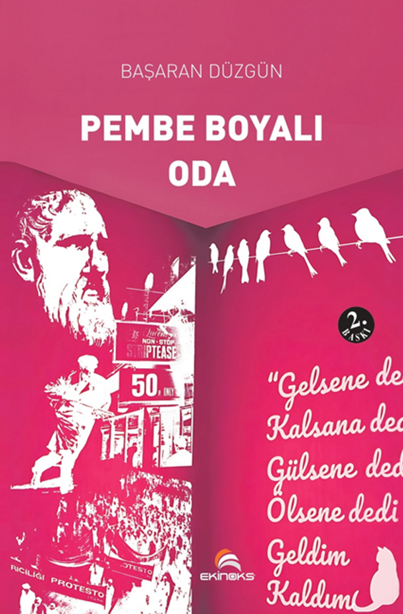 Pembe Boyalı Oda kitap kapağı