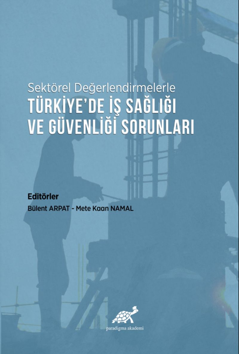 Sektörel Değerlendirmelerle Türkiye’de İş Sağlığı ve Güvenliği Sorunları kitap kapağı