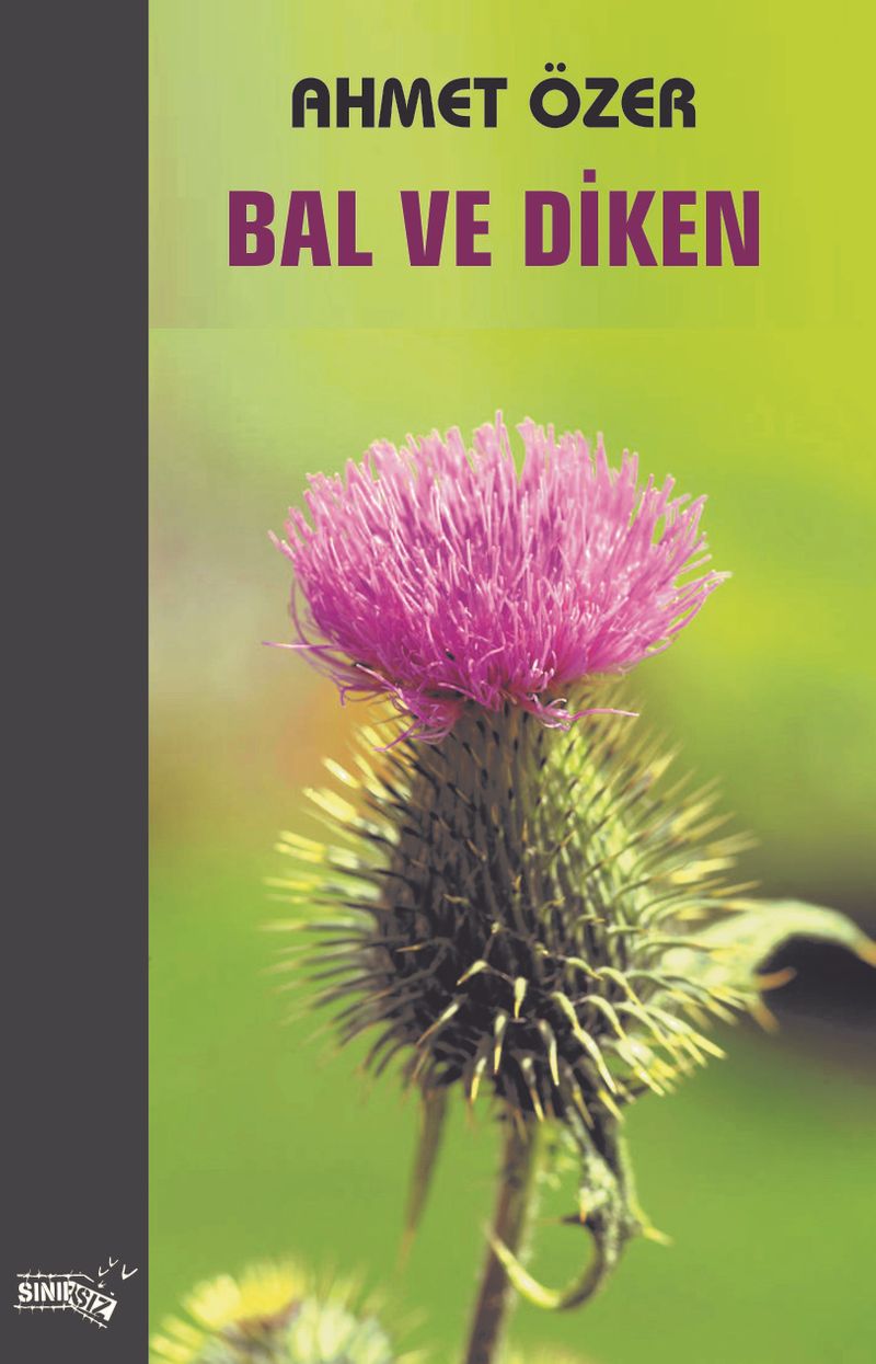 Bal ve Diken kitap kapağı