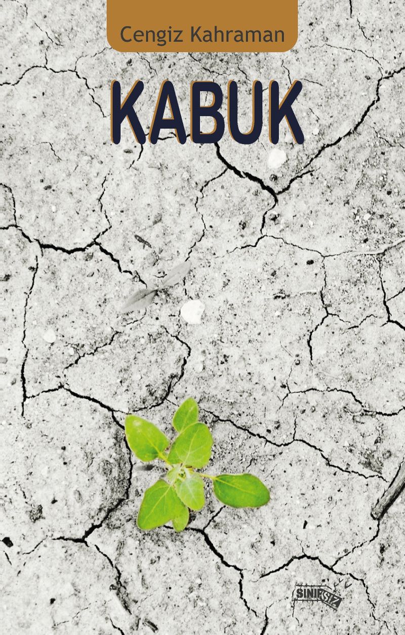Kabuk kitap kapağı