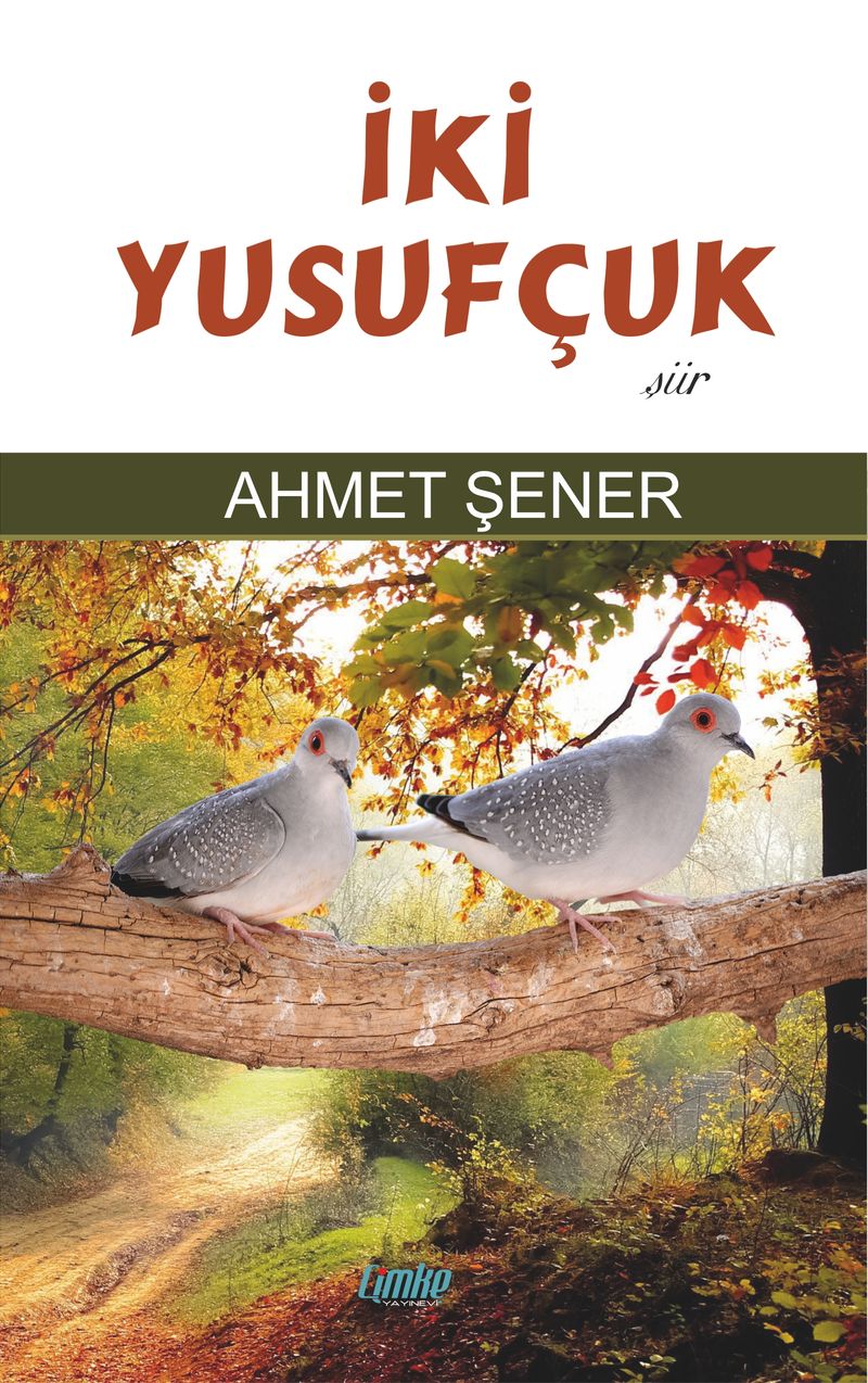 İki Yusufçuk kitap kapağı