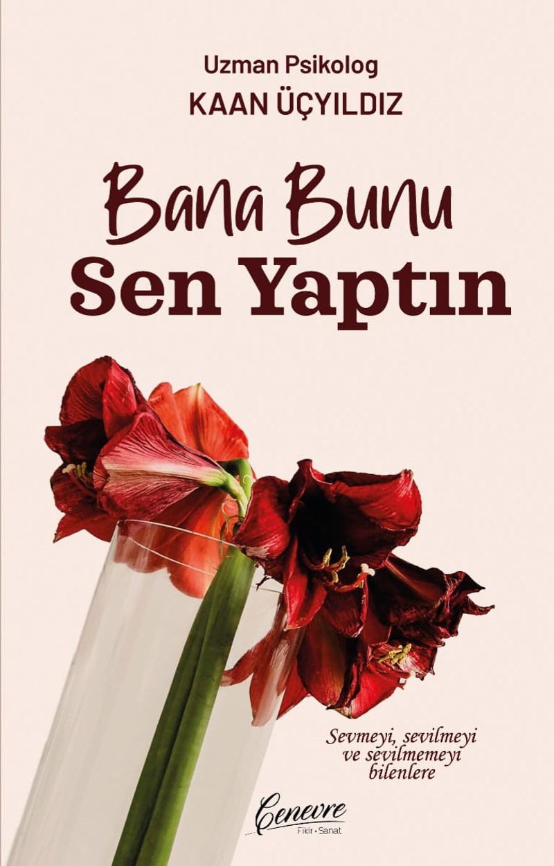 Bana Bunu Sen Yaptın kitap kapağı