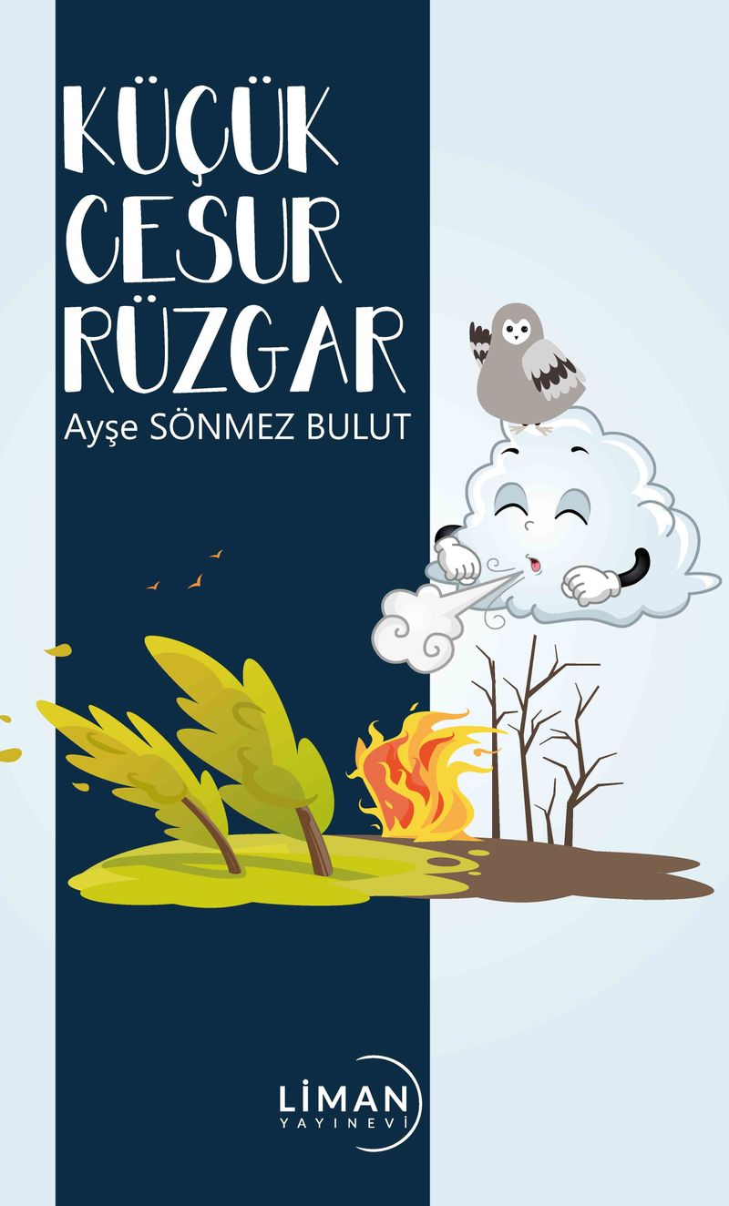 Küçük Cesur Rüzgar kitap kapağı