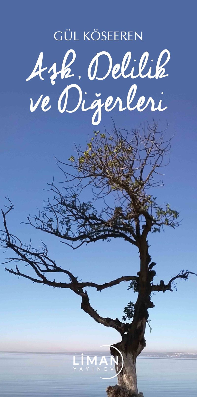 Aşk Delilik ve Diğerleri kitap kapağı