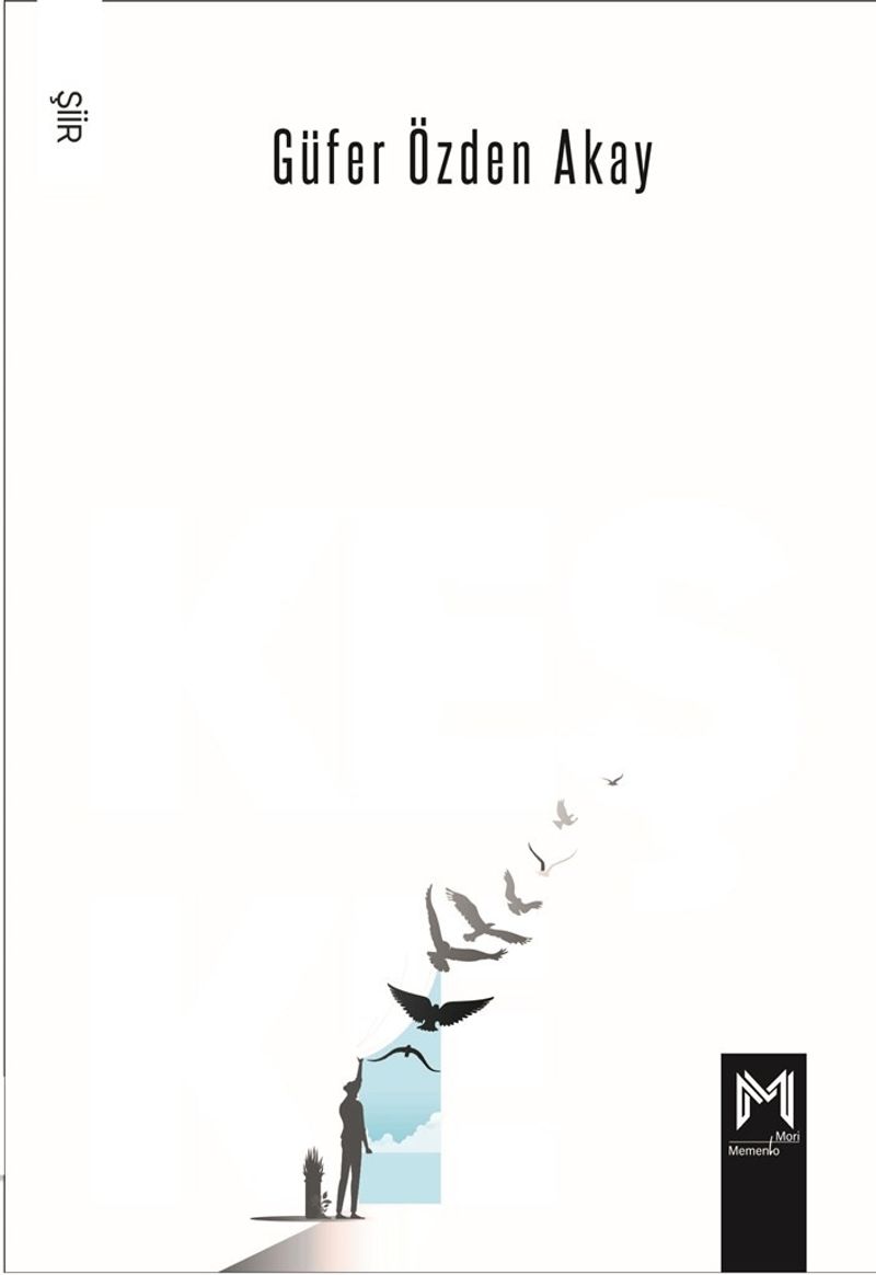 Keşke kitap kapağı