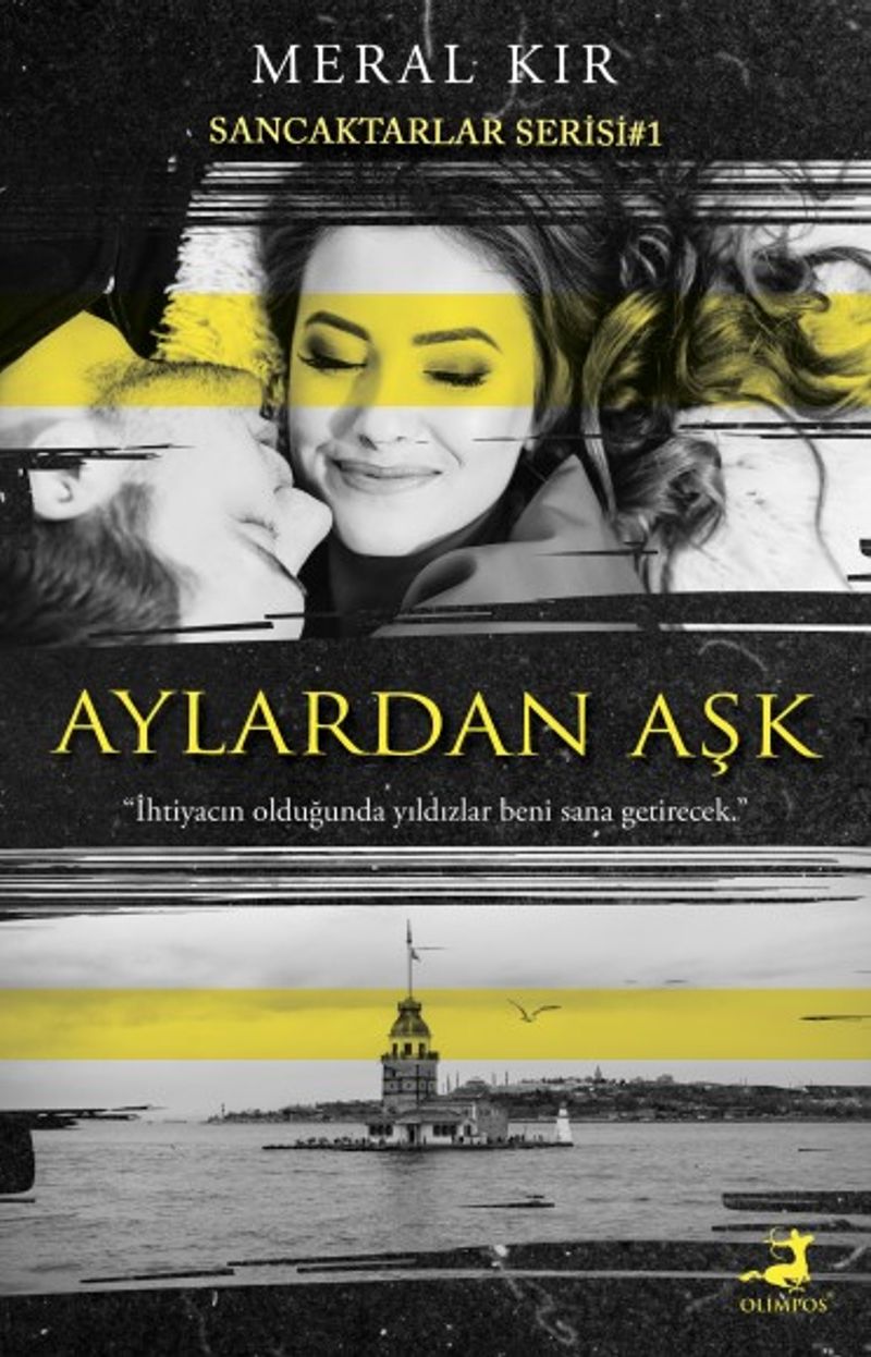Aylardan Aşk / Sancaktarlar Serisi 1 kitap kapağı