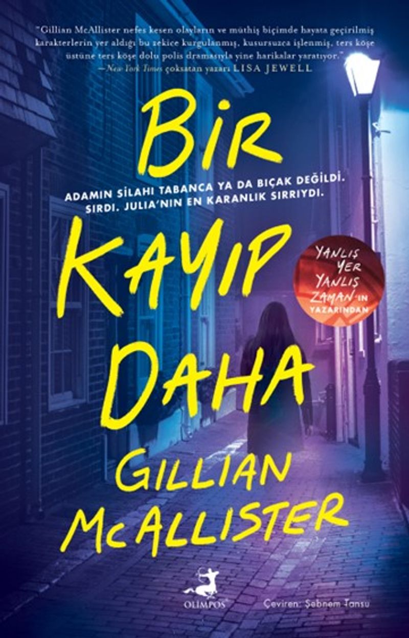 Bir Kayıp Daha kitap kapağı