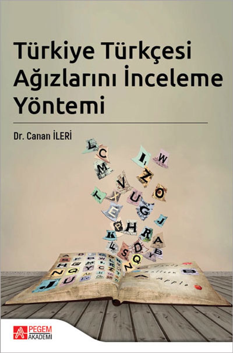 Türkiye Türkçesi Ağızlarını İnceleme Yöntemi kitap kapağı