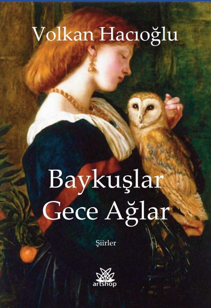 Baykuşlar Gece Ağlar kitap kapağı