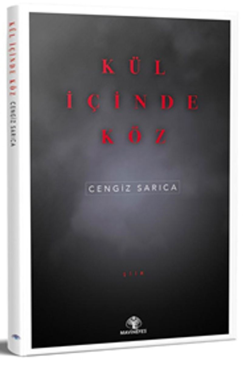 Kül İçinde Köz kitap kapağı
