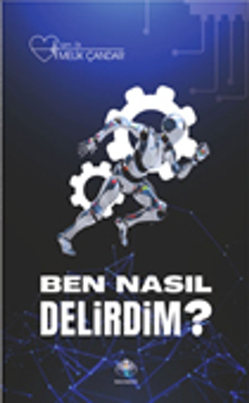 Ben Nasıl Delirdim? kitap kapağı