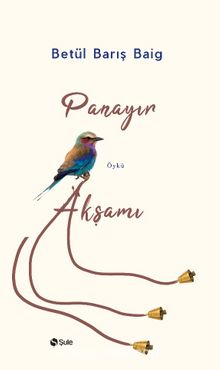 Panayır Akşamı kitap kapağı