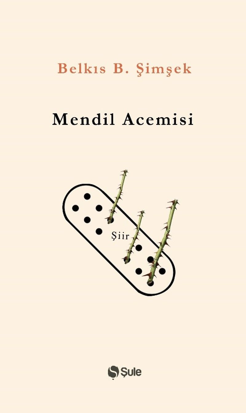 Mendil Acemisi kitap kapağı