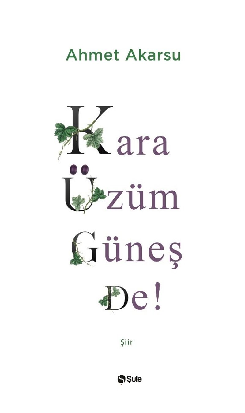 Kara Üzüm Güneş De kitap kapağı