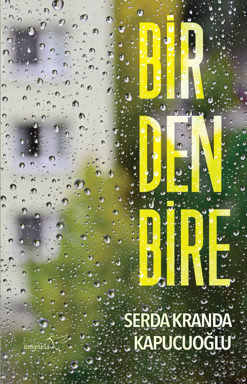 Birdenbire kitap kapağı