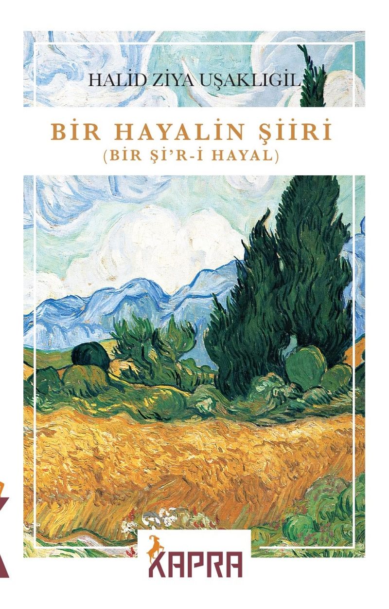 Bir Hayalin Şiiri kitap kapağı