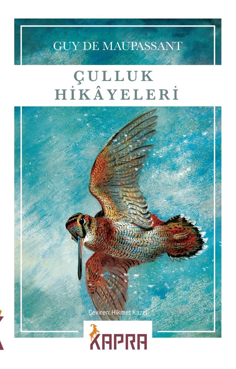 Çulluk Hikayeleri kitap kapağı