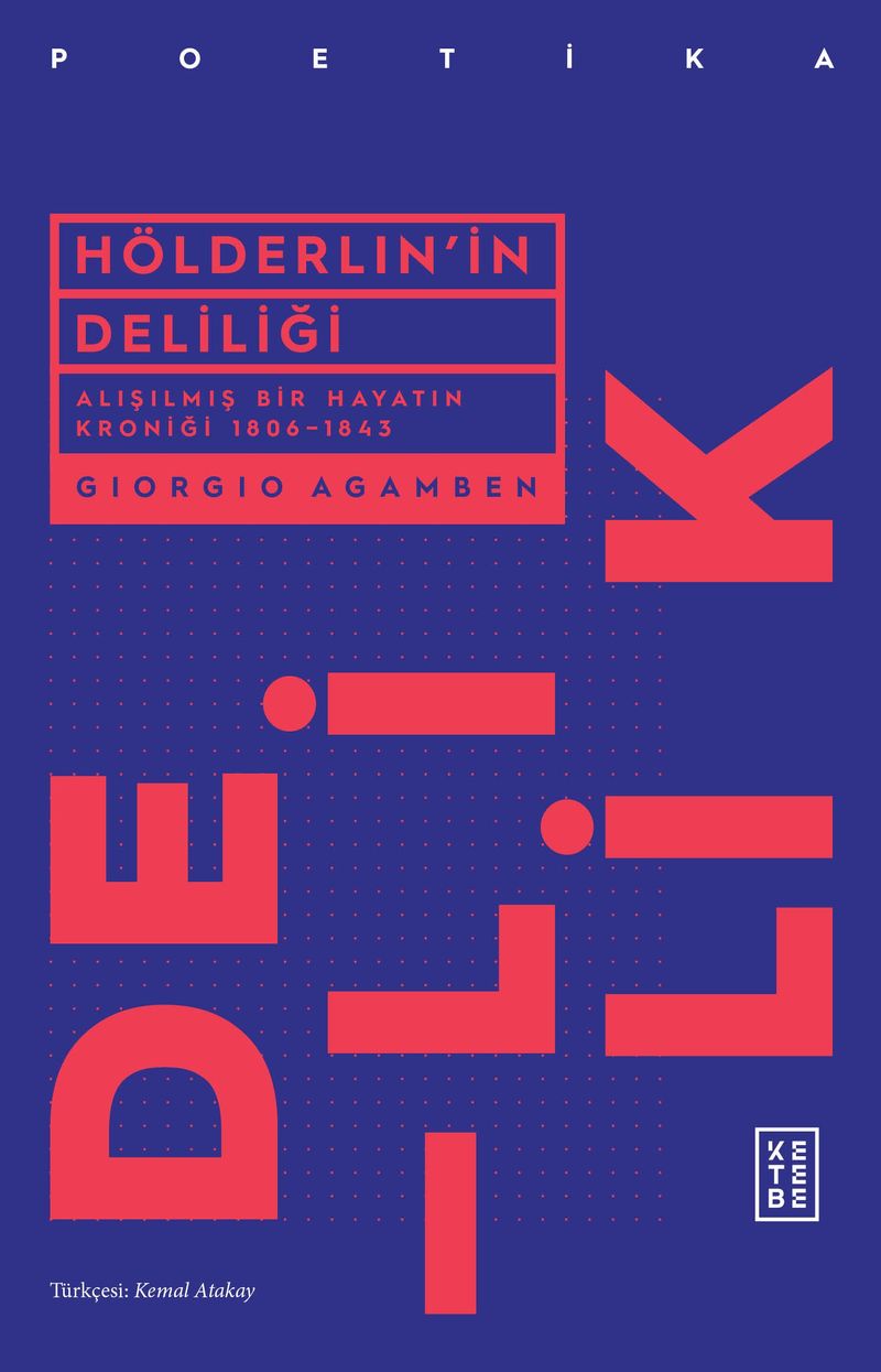 Hölderlin'in Deliliği Alışılmış Bir Hayatın Kroniği (1806-1843) kitap kapağı
