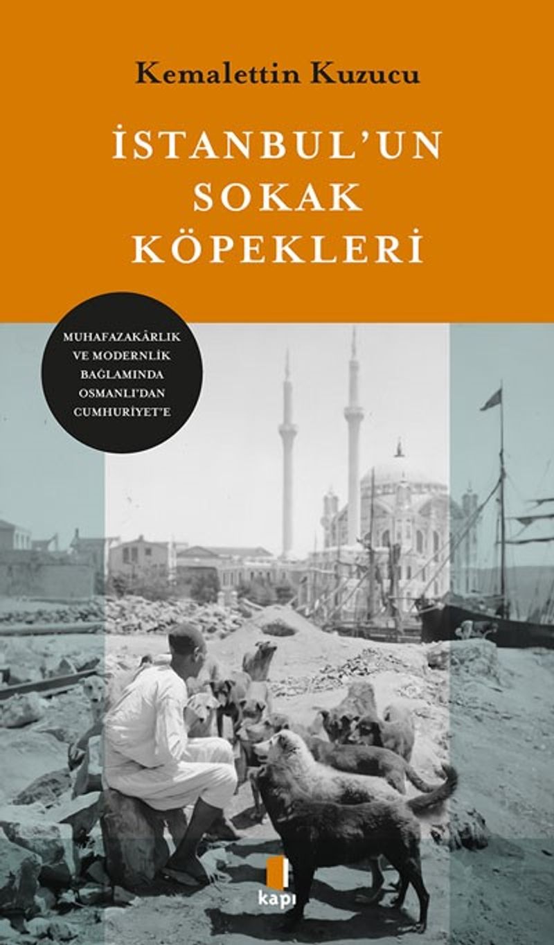 İstanbul'un Sokak Köpekleri kitap kapağı