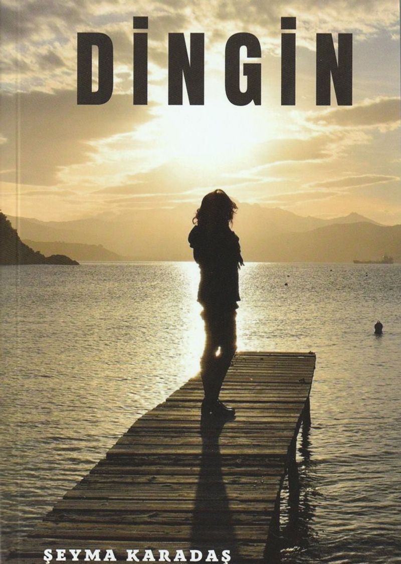 Dingin kitap kapağı