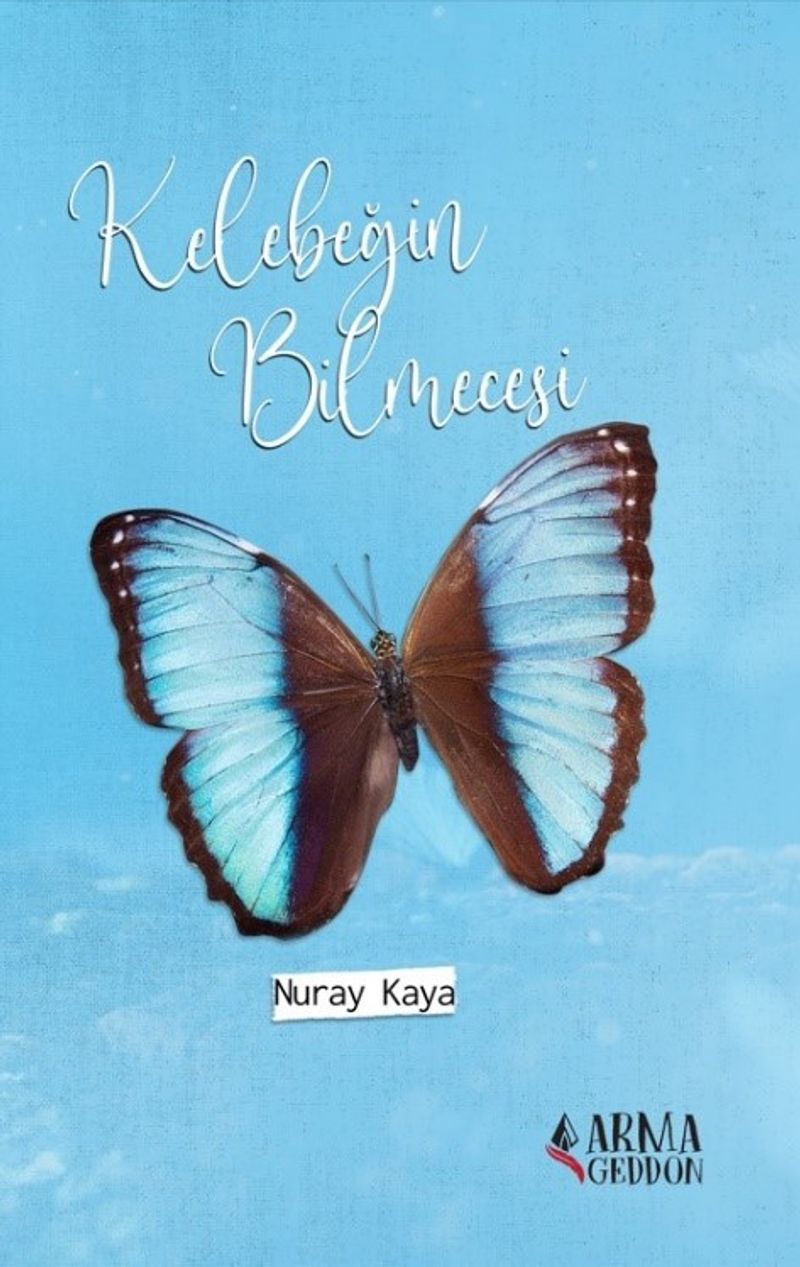 Kelebeğin Bilmecesi kitap kapağı