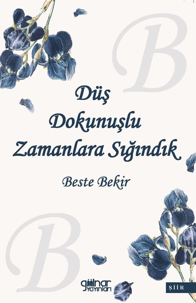 Düş Dokunuşlu Zamanlara Sığındık kitap kapağı