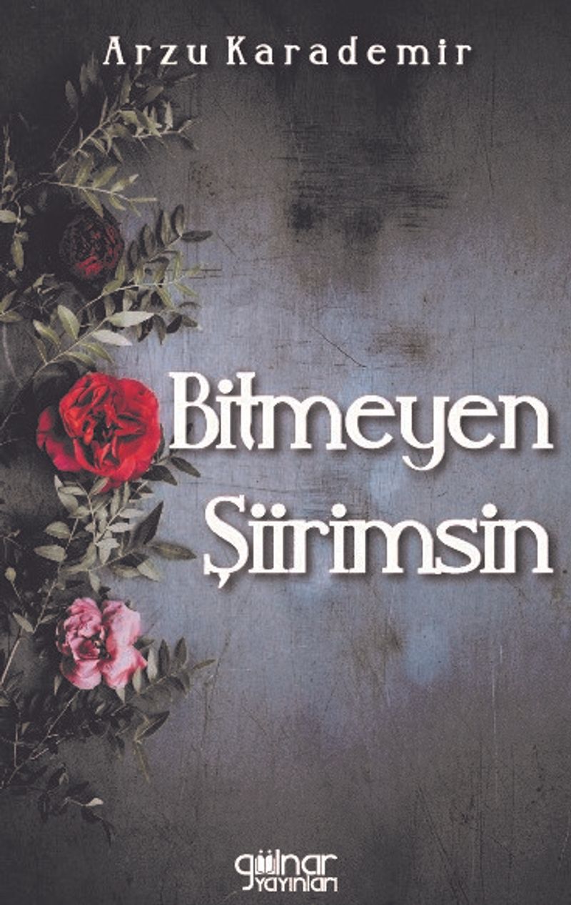 Bitmeyen Şiirimsin kitap kapağı