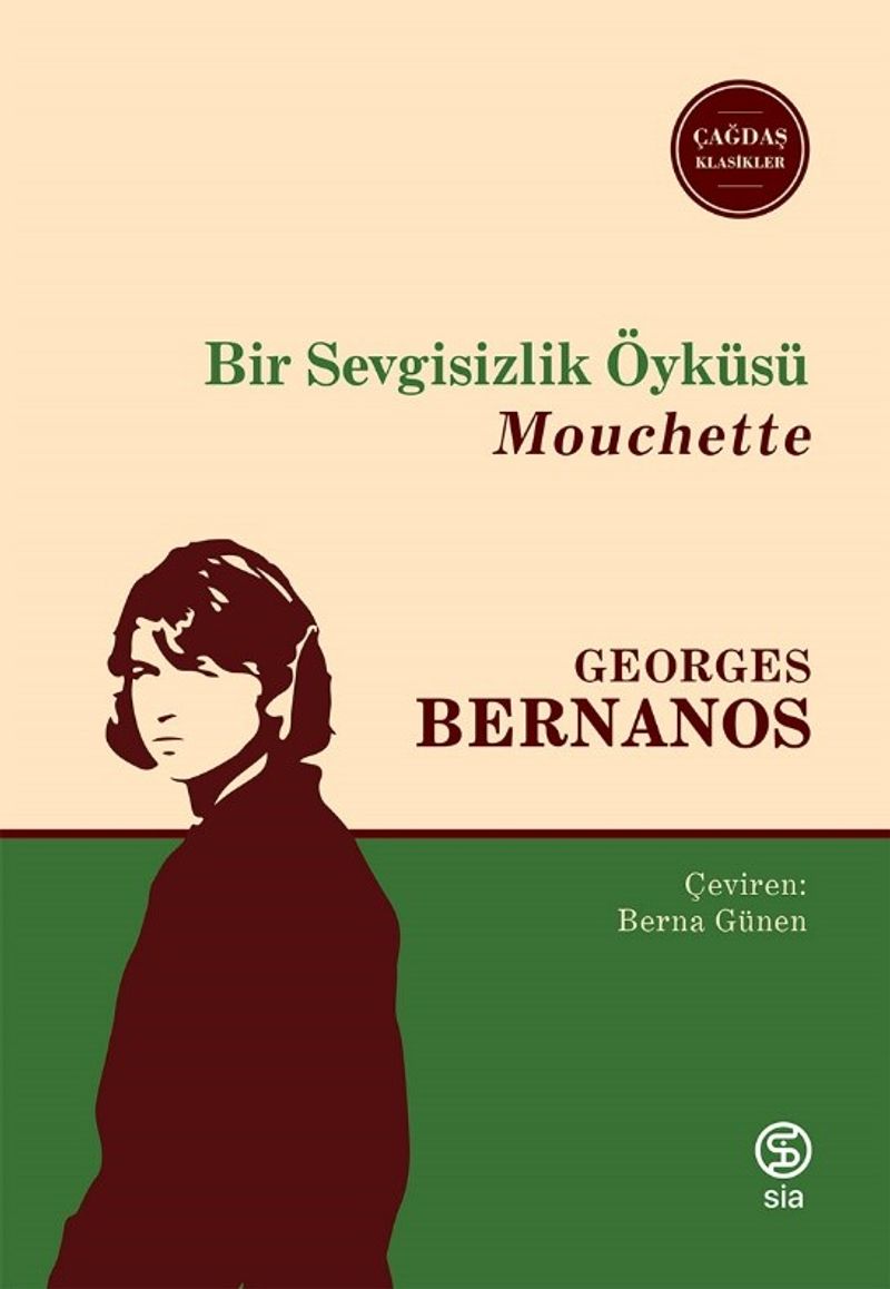 Bir Sevgisizlik Öyküsü kitap kapağı