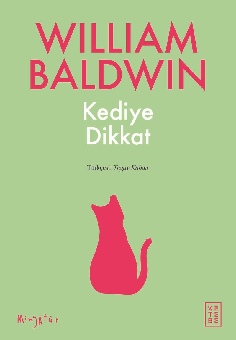 Kediye Dikkat kitap kapağı