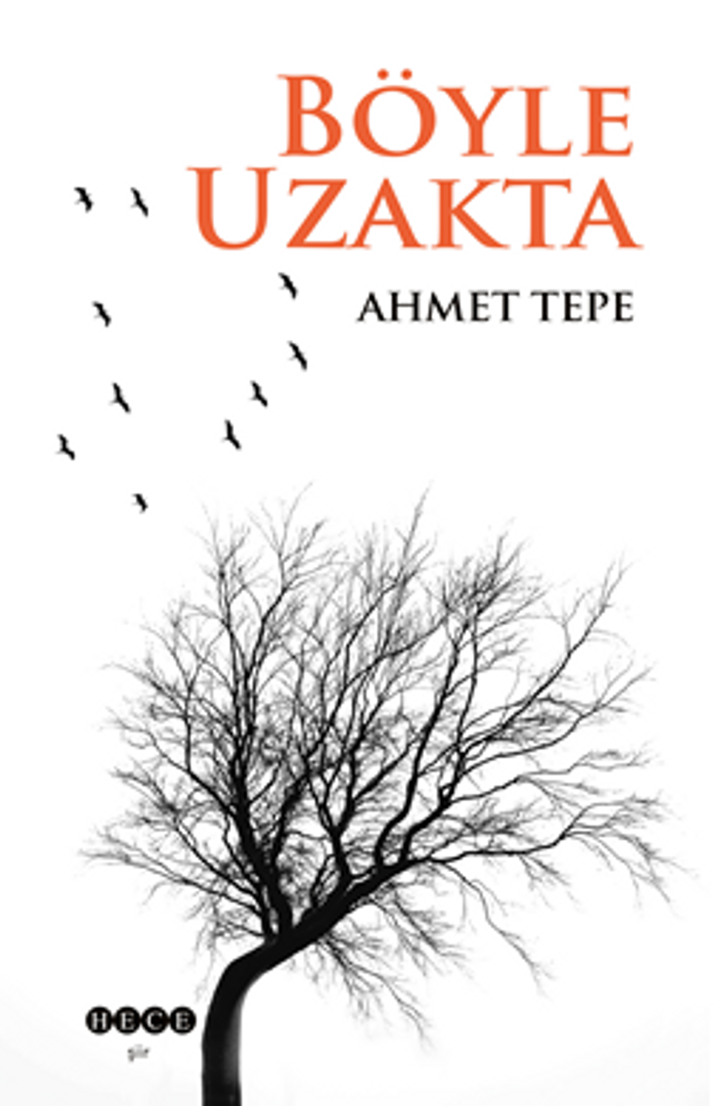 Böyle Uzakta kitap kapağı