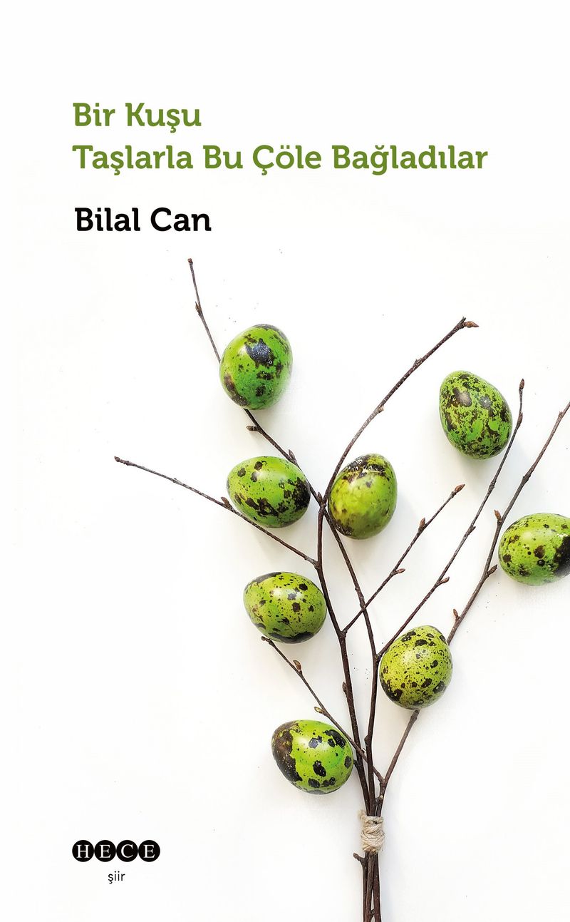 Bir Kuşu Taşlarla Bu Çöle Bağladılar kitap kapağı