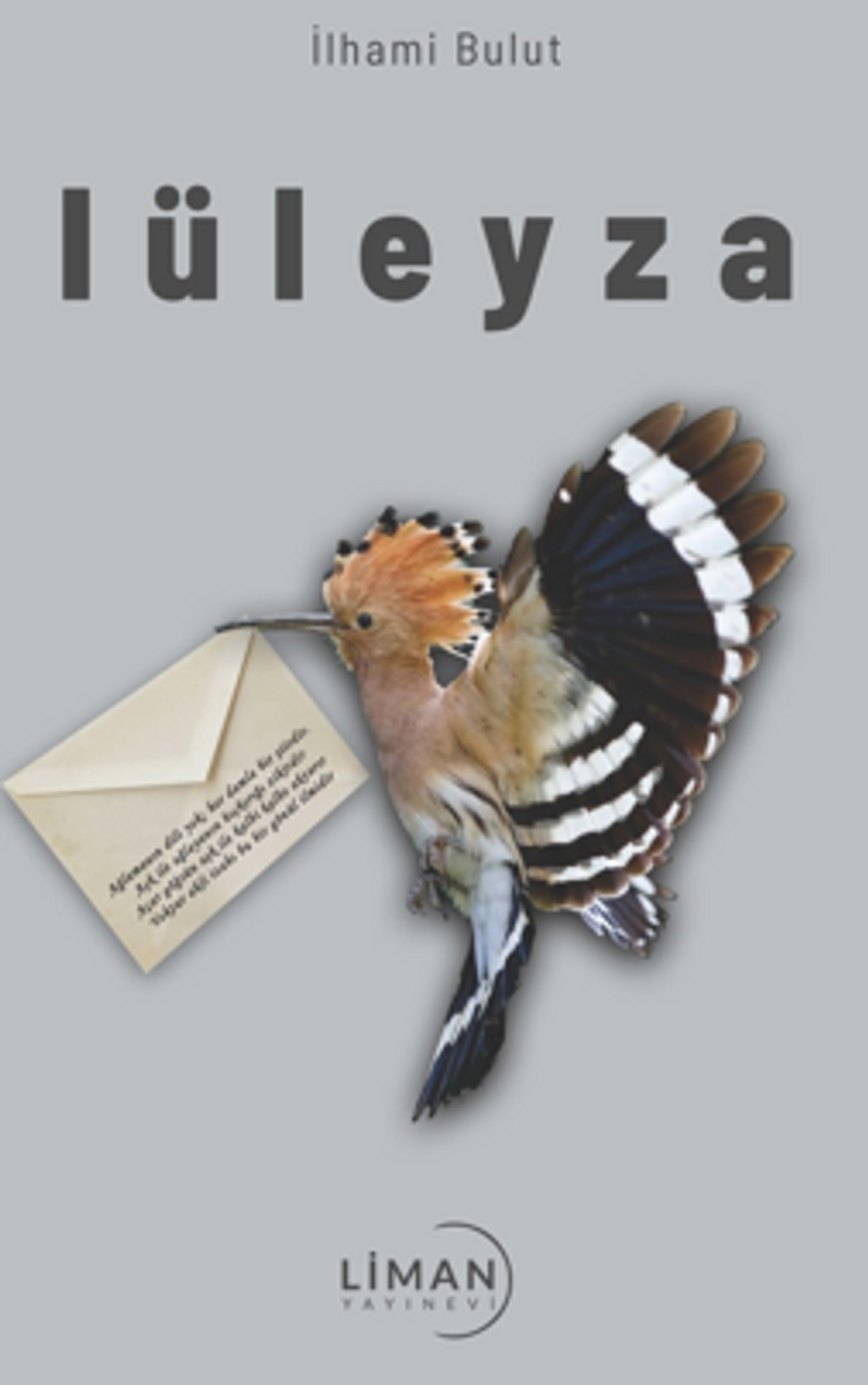 Lüleyza kitap kapağı