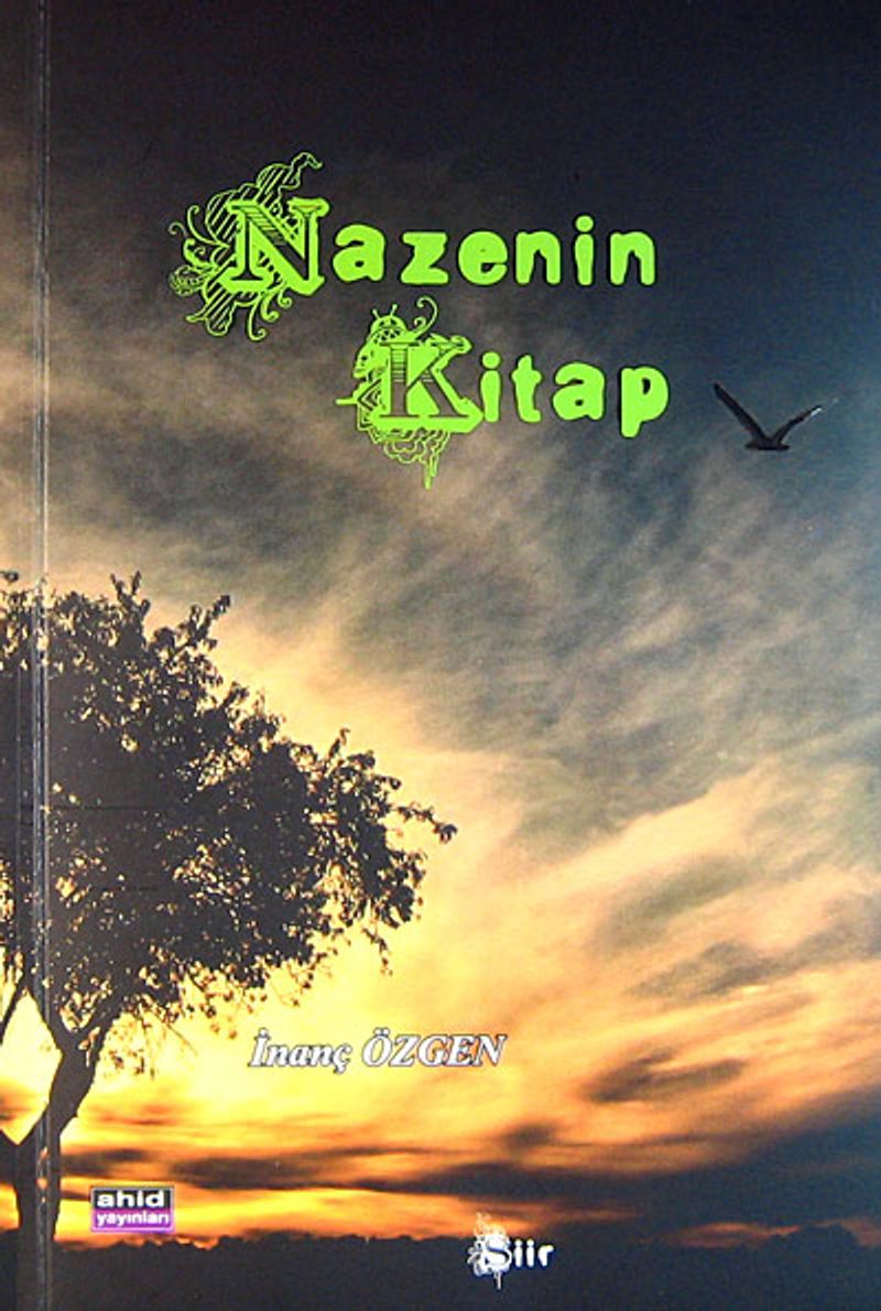 Nazenin Kitap kitap kapağı