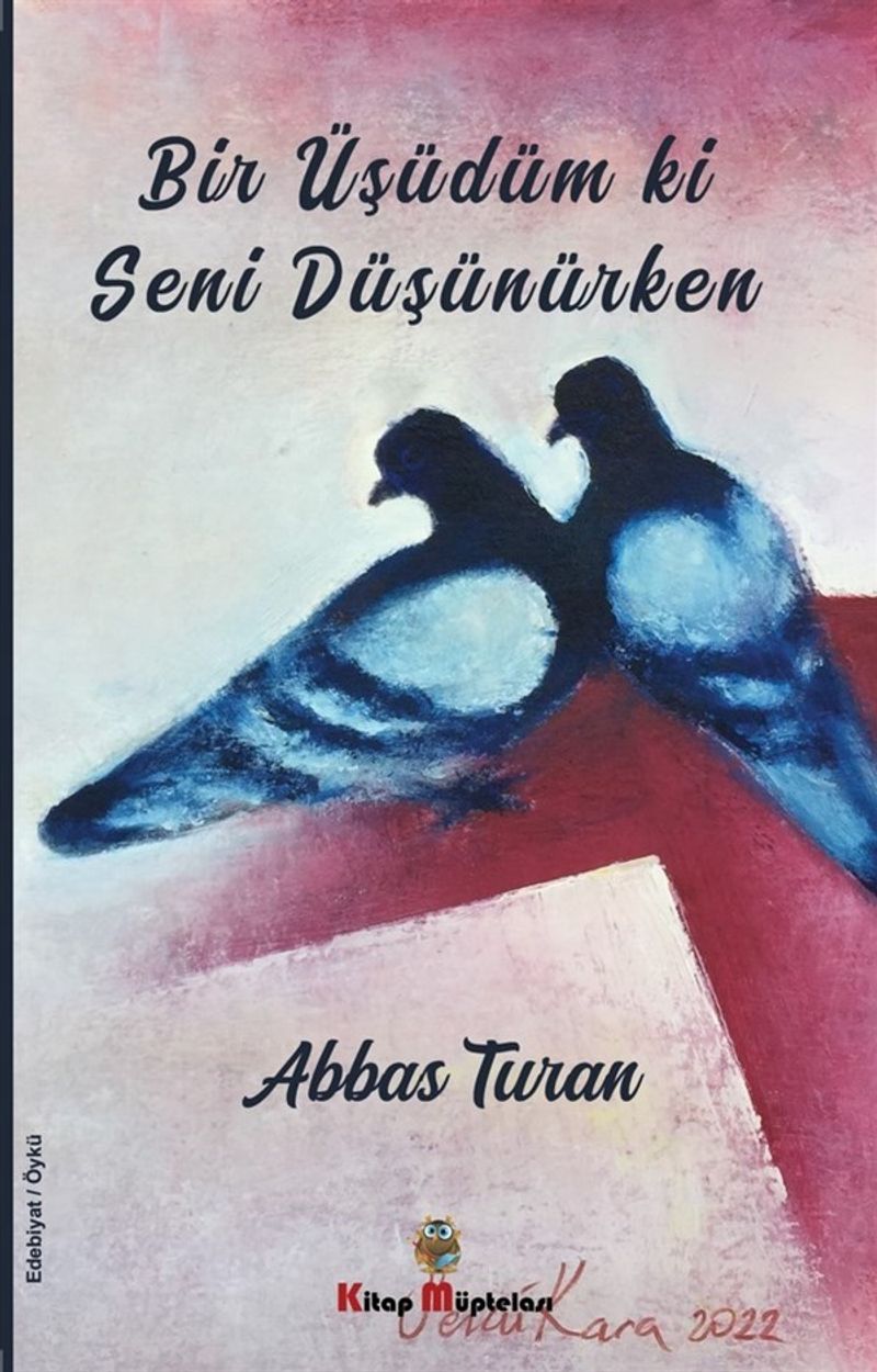 Bir Üşüdüm ki Seni Düşünürken kitap kapağı