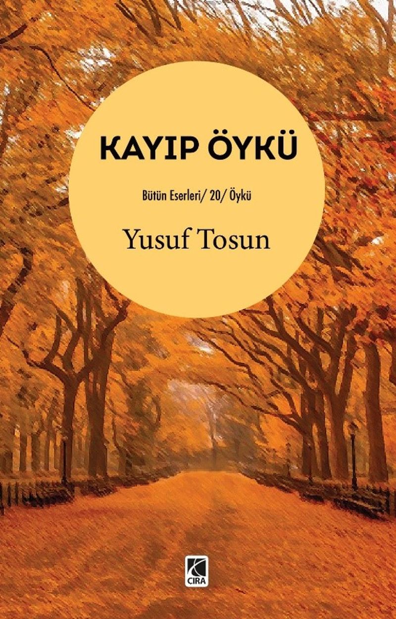 Kayıp Öykü kitap kapağı