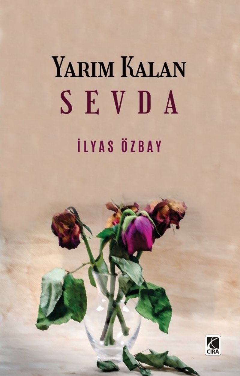 Yarım Kalan Sevda kitap kapağı
