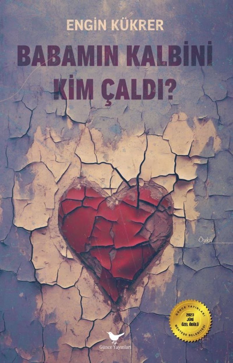 Babamın Kalbini Kim Çaldı kitap kapağı