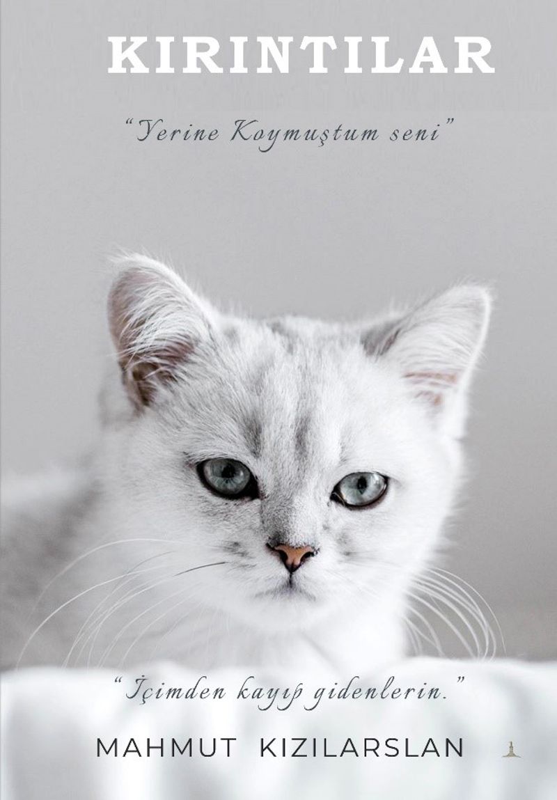 Kırıntılar kitap kapağı